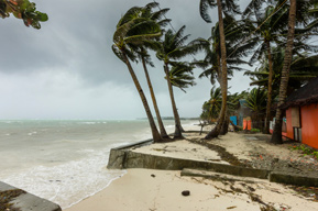 Windy beach